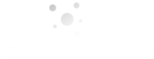 banklabs footer logo